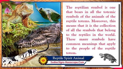  Deciphering the Significance of a Massive Reptile Appears in Your Subconscious Imagery