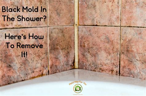  Eliminate Grime and Mold From the Shower 