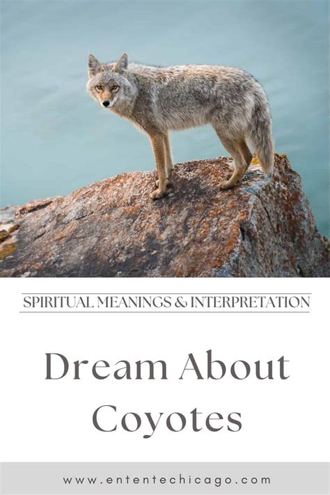 Exploring the Shamanic Connection to the Enigmatic White Coyote Dream 