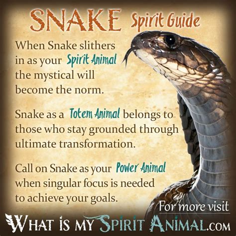  Exploring the Snake's Symbolic Significance in the Context of Transformation 