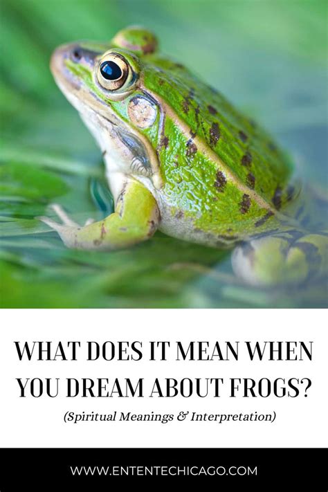  Reflecting on the Possible Messages and Cautions in Frog Dreams 