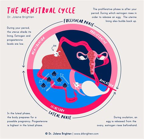  Reflections of the Menstrual Cycle: Exploring the Connection between Dreams and Women's Reproductive Phases 
