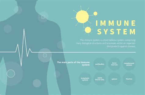  Strengthening the Immune System 
