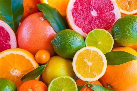  Unlocking the Cultural Meanings of Citrus fruit in Diverse Countries 