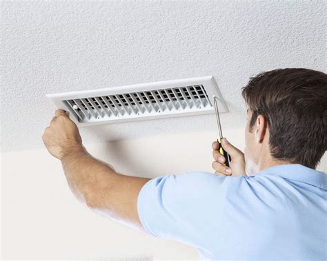 A Breath of Fresh Air: Maintaining a Mold-Free Environment in Your Home