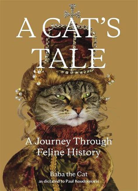 A Feline's Journey: The Inspirational Tale of Ali