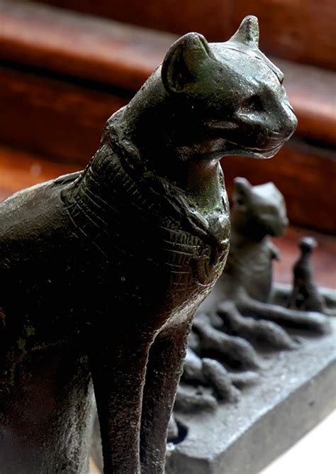 A Journey through Ancient Cultures' Perceptions of Majestic Felines