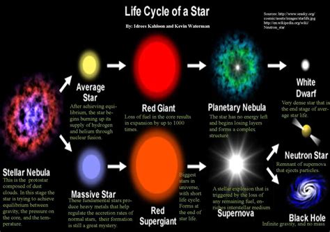 A Journey through the Life of a Rising Star