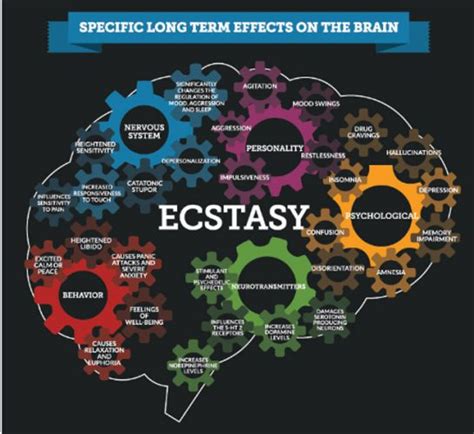 A Model to Look Up to: Understanding the Impact of Erin Ecstasy on Society