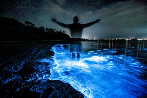 A Nighttime Spectacle: Popular Bioluminescent Destinations