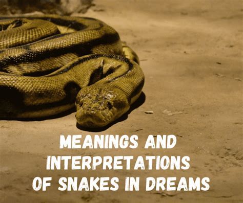 A Promising Sign or Cautionary Signal? Exploring Varied Perspectives on Dreaming About Serpents