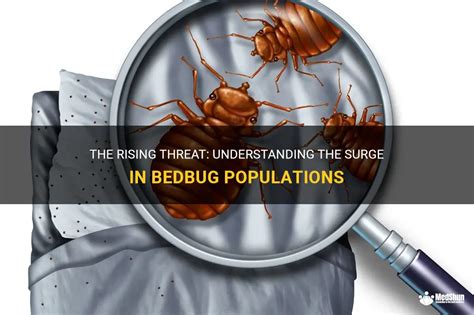 A Rising Crisis: Understanding the Bedbug Infestation Epidemic