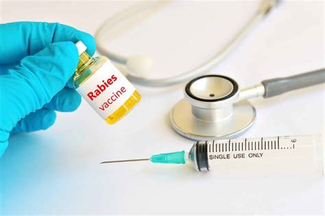 A Shot of Hope: The Life-Saving Rabies Vaccine