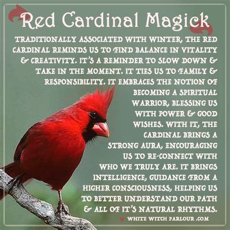 A Symbolic Interpretation: The Majestic Red Cardinal