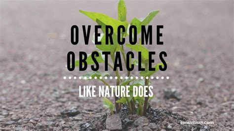A Test of Courage: Overcoming Nature's Obstacles