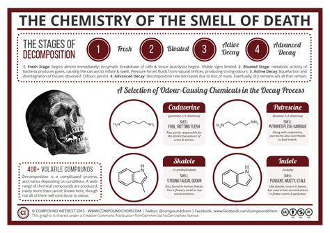 A Whiff of Death: Decoding the Symbolism Behind the Odor
