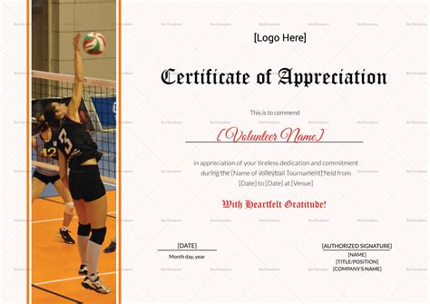 Achievements and Recognition in Volleyball