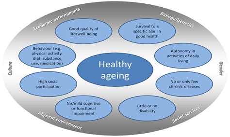 Age and Height: Unveiling the Dual Factors of Wealth