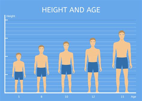 All You Need to Know: Age, Height, and Body Stats