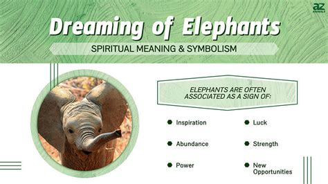 An Exploration of Elephant Dreams and Their Interpretation