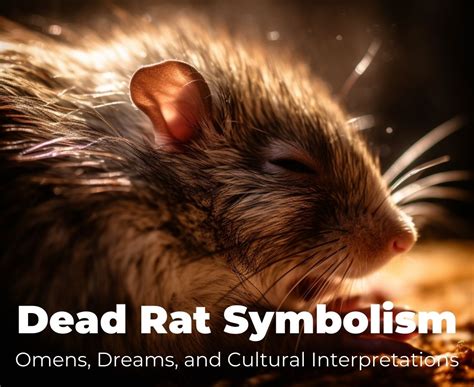 An In-Depth Exploration of Potential Interpretations and Symbolism of Rat Dreams