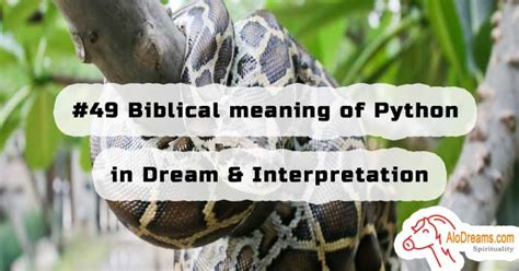 Analyzing the Cultural Interpretation of the Python in Dreams