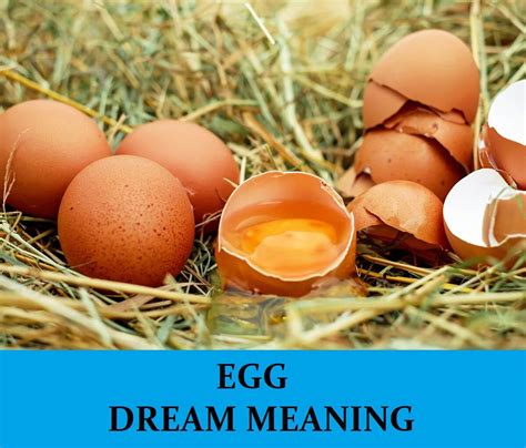 Analyzing the Interpretation of Dreams About Sharing Eggs