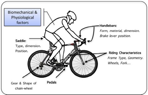 Analyzing the Physical Aspect: Balance and Control in Bicycle Dreams