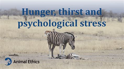 Analyzing the Psychological Interpretation of Thirst-related Anxiety in Dreams