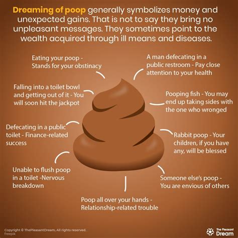 Analyzing the Representation of Feces in Dreams