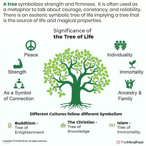 Ancient Beliefs: Tree Symbolism in Various Cultures