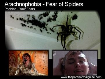 Arachnophobia: Overcoming the Fear of Eight-Legged Creatures