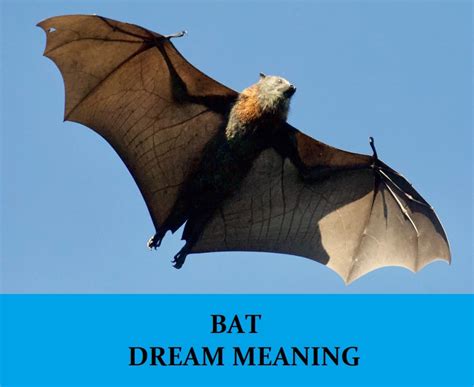 Bats as Dream Symbols: Decoding their Presence in our Subconscious