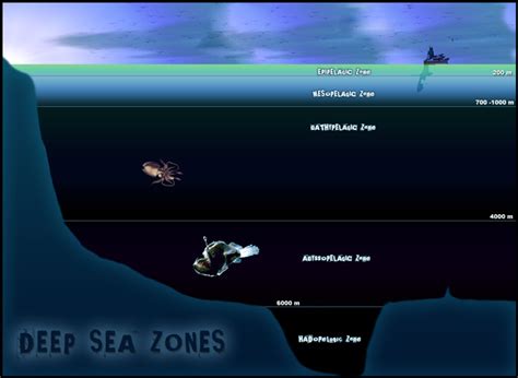 Beneath the Surface: A Journey into the Deep Sea Realm