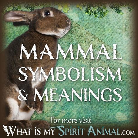Beyond Natural Instincts: Decoding the Symbolism within Mammalian Reveries