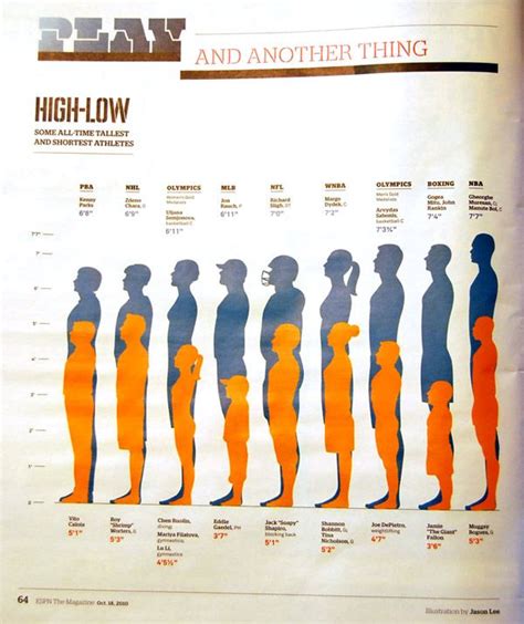 Beyond Tall and Short: Understanding the Impact of Height in Society