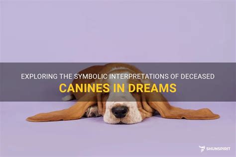 Beyond the Physical: Exploring spiritual interpretations of discovering deceased creatures in dreams