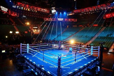 Beyond the Ring: Exploring the Business of Boxing