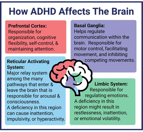 Boosting Cognitive Function and Reducing Symptoms of ADHD through Physical Activity