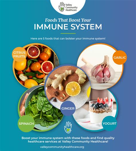 Boosting Immunity and Protecting against Illness through a Nourishing Diet