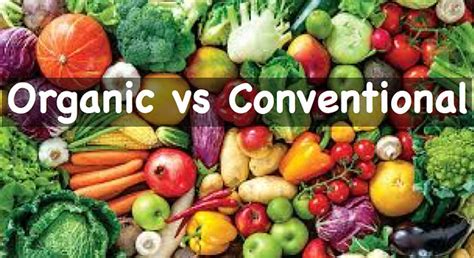 Boosting Nutritional Value: How Organic Food Differs from Conventional
