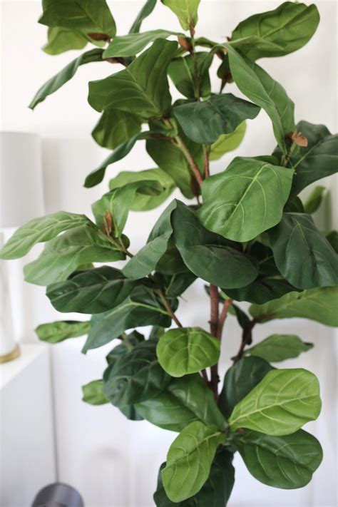 Bring Life into Your Home with Synthetic Foliage