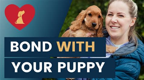 Building Bonds: Strengthening Relationships through Puppy Care