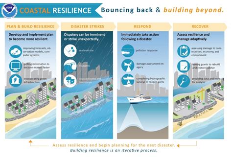 Building Resilience: Strategies for Weathering a Tsunami