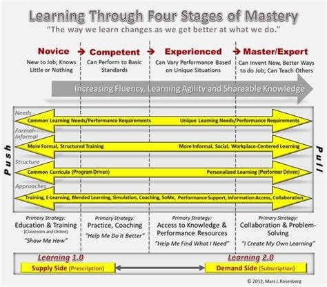 Career Journey: From Novice to Professional