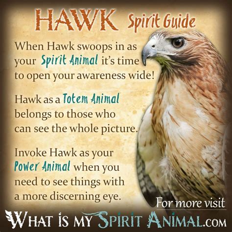 Chicken Hawk Dreams: A Reminder of Personal Strength and Courage