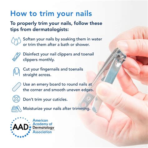 Choosing the Appropriate Equipment for Nail Trimming