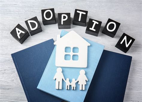 Choosing the Perfect Adoption Agency