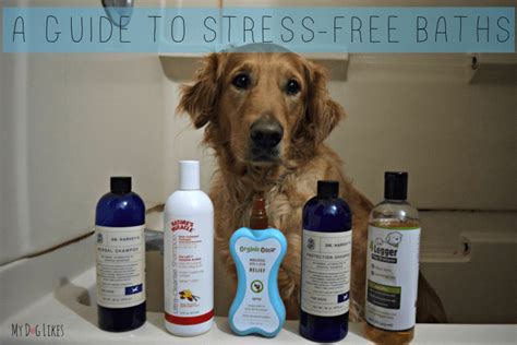 Choosing the Right Products: Tips for Selecting Puppy-Friendly Bath Supplies