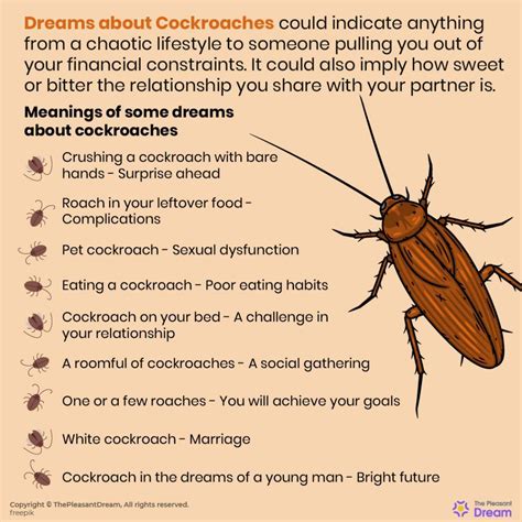 Cockroaches in Dreams: Exploring the Symbolic Significance